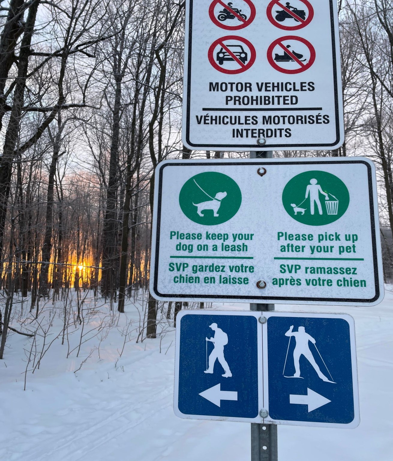 Affiche en forêt qui lit: svp gardez votre chien en laisse et ramassez après votre chien